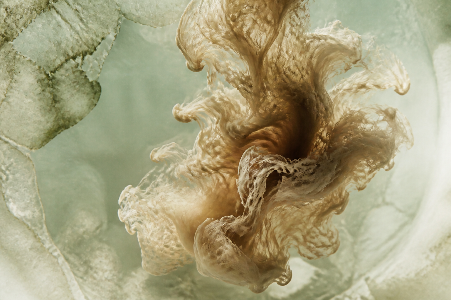 Microscopic view of cellular structures and biological patterns in a laboratory setting.